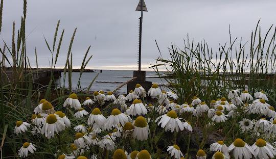 KAYAK TOURS STOKKSEYRI