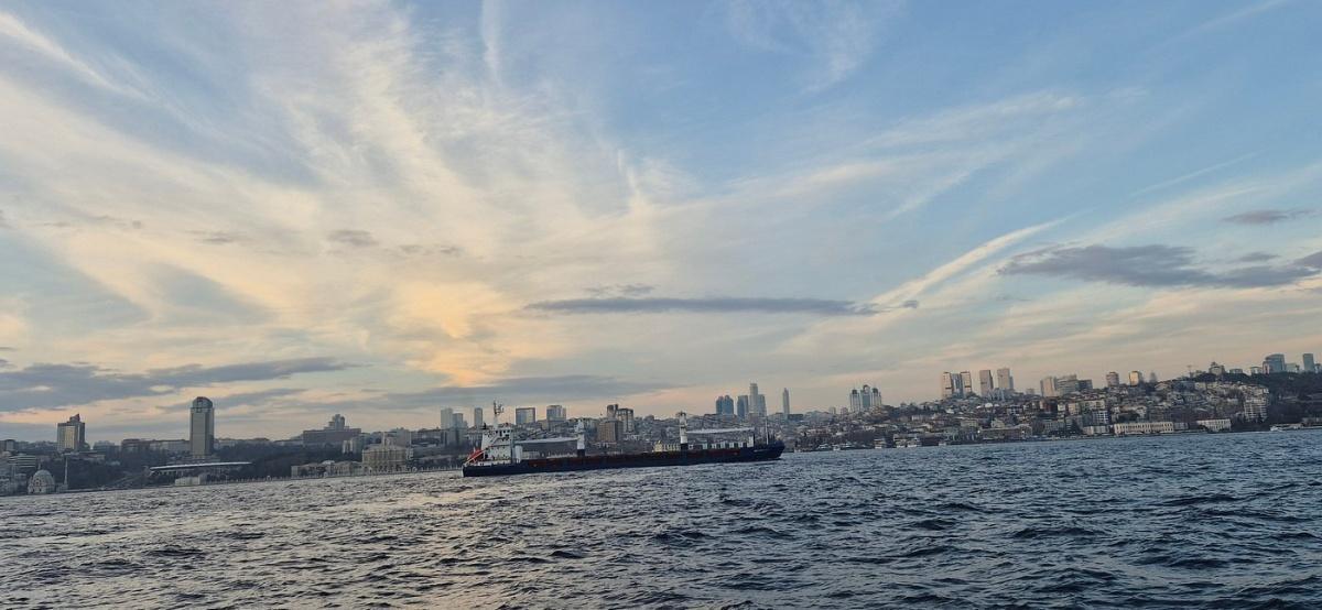 AFTERNOON BOSPHORUS CRUISE LUXURY YACHT WITH PROFESSIONAL GUIDE