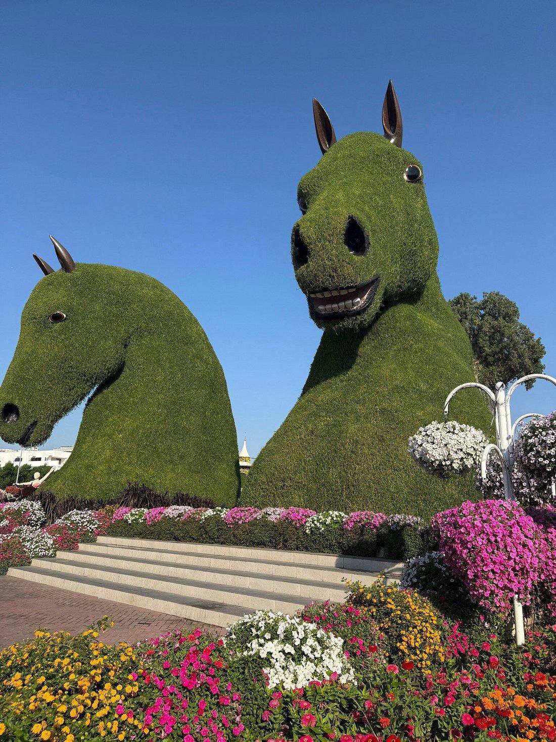 DUBAI MIRACLE GARDEN SKIP THE LINE DUBAI MIRACLE GARDEN SKIP THE LINE