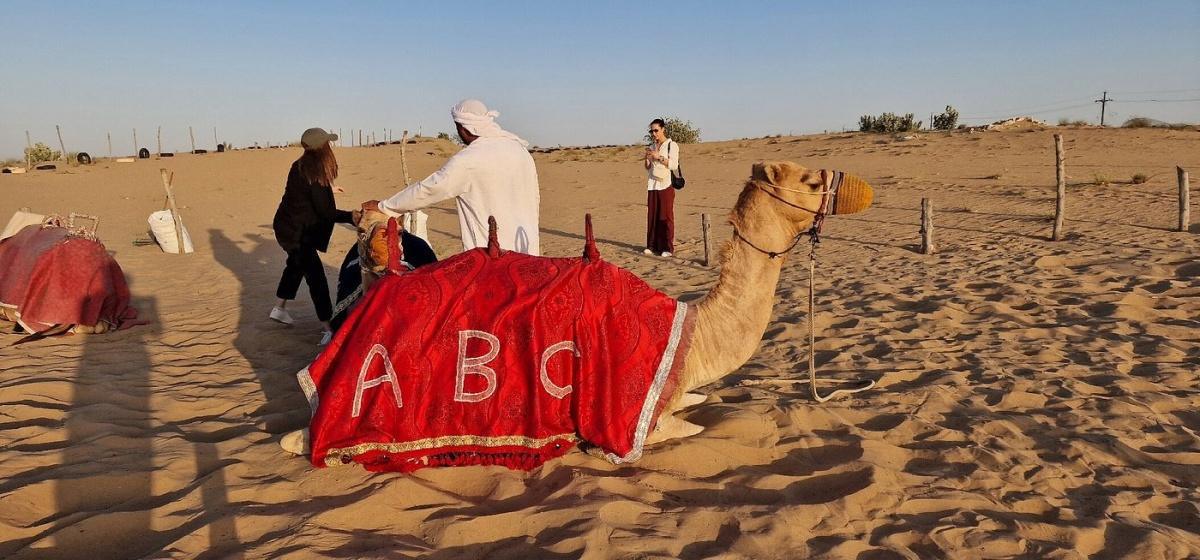DUBAI DESERT SAFARI DUNE BASHING