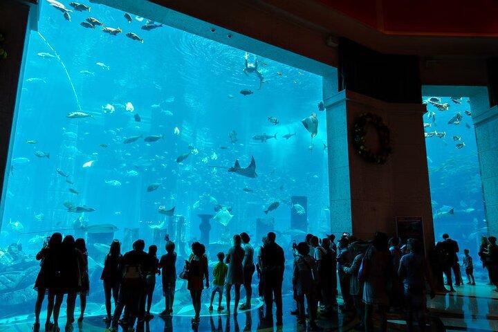 DUBAI LOST CHAMBERS AQUARIUM DUBAI LOST CHAMBERS AQUARIUM