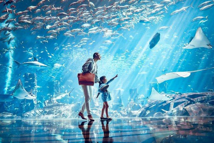 DUBAI LOST CHAMBERS AQUARIUM 