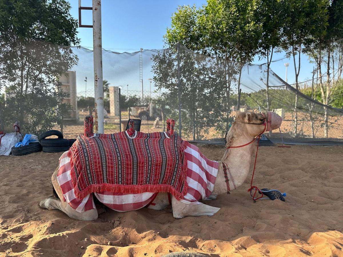 DESERT SAFARI DUBAI 30 MINS QUAD BIKE DESERT SAFARI DUBAI 30 MINS QUAD BIKE