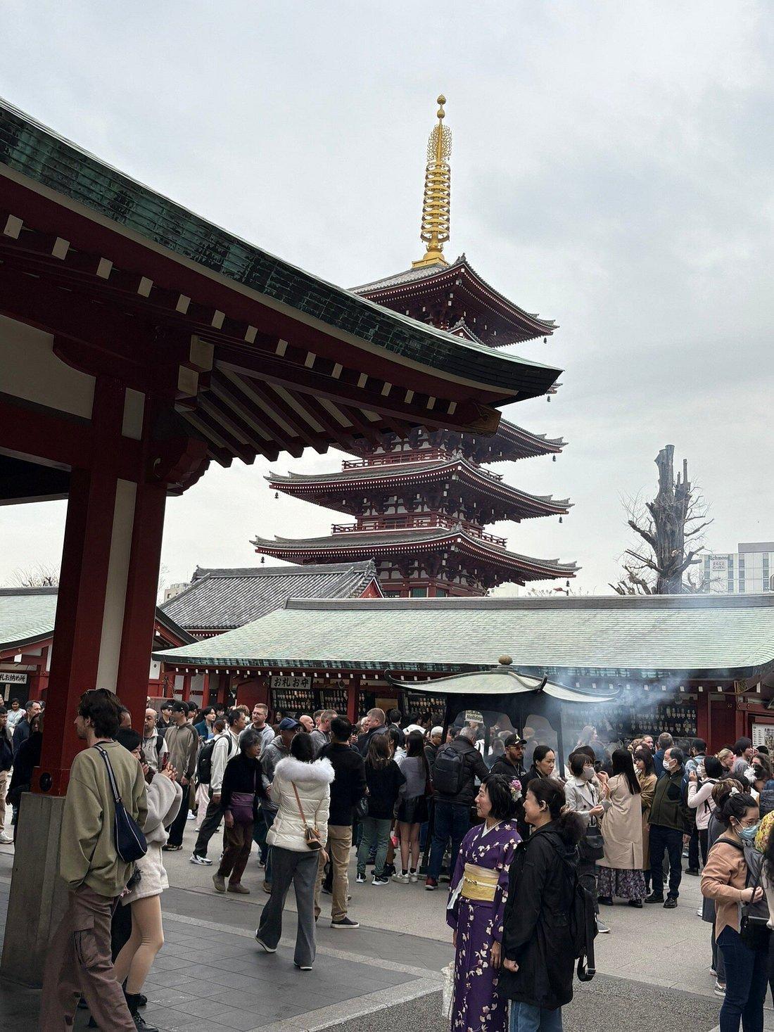 4HR PRIVATE TOUR WITH GOVERNMENT-LICENSED GUIDE