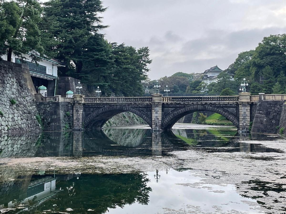 FREELY SET UP PLANS GUIDED