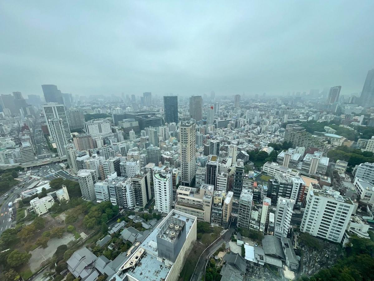 FREELY SET UP PLANS GUIDED