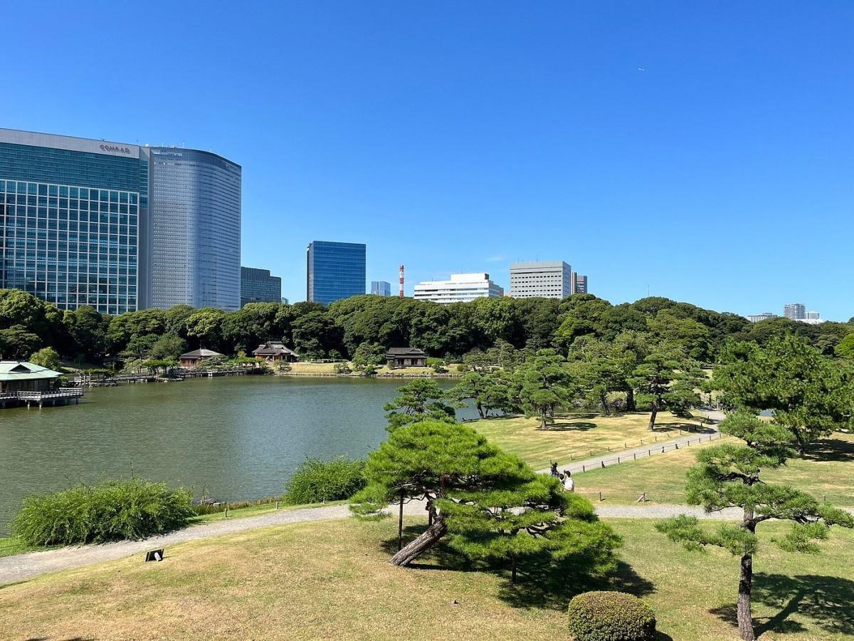 FREELY SET UP PLANS GUIDED