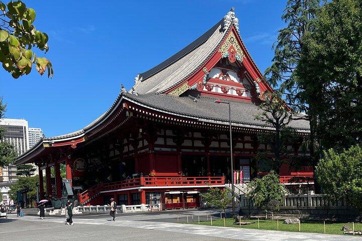 FULL DAY TOKYO PRIVATE CITY TOUR