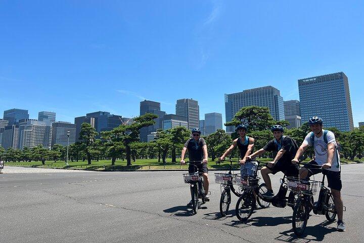 OFF THE BEATEN PATH E-BIKE 