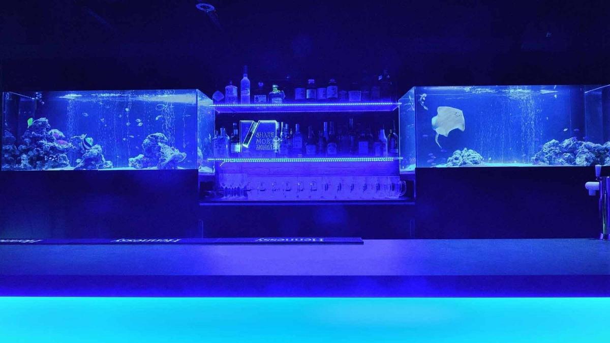 EAGLE TOKYO BLUE EAGLE TOKYO BLUE