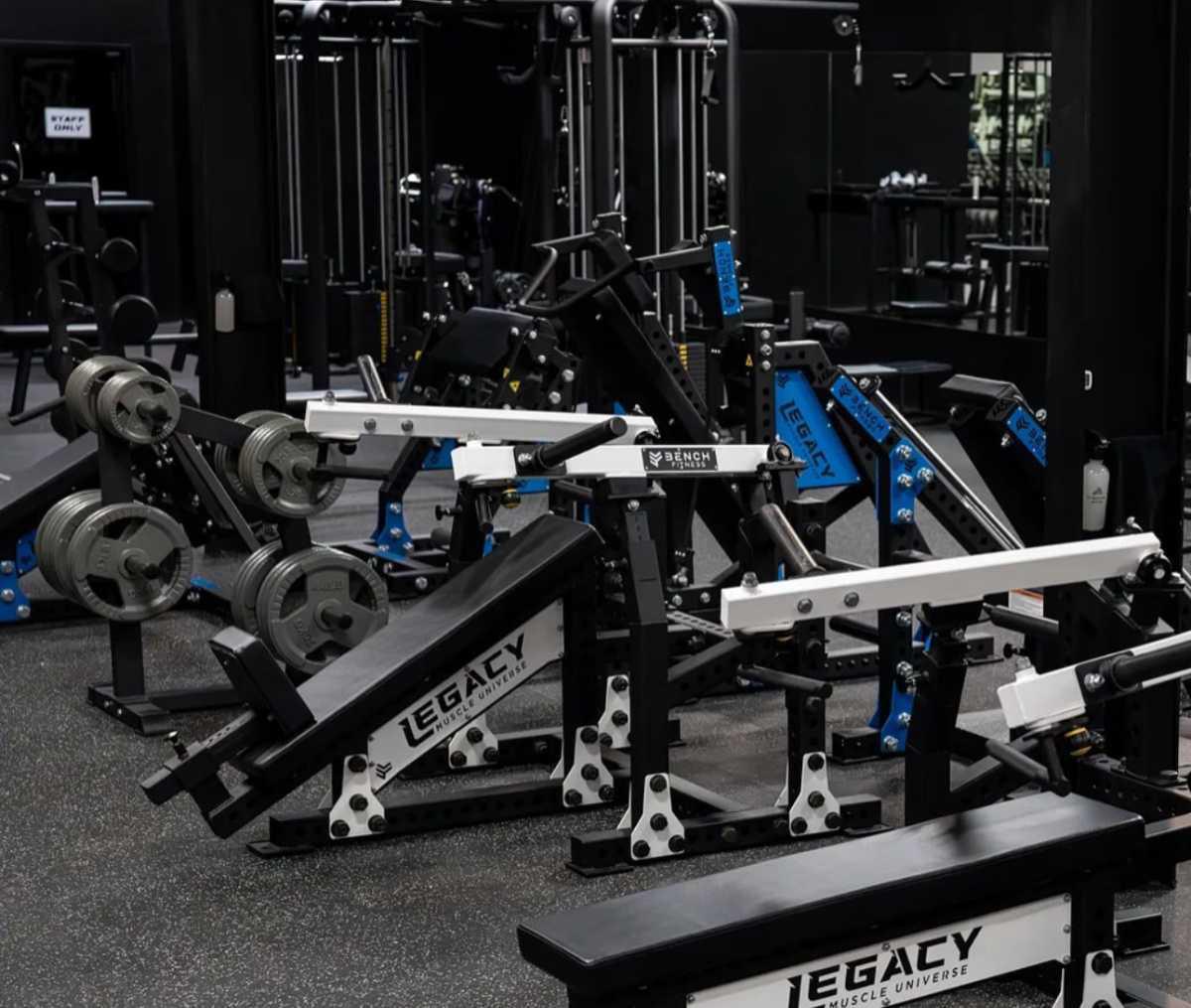 LEGACY MUSCLE UNIVERSE LEGACY MUSCLE UNIVERSE