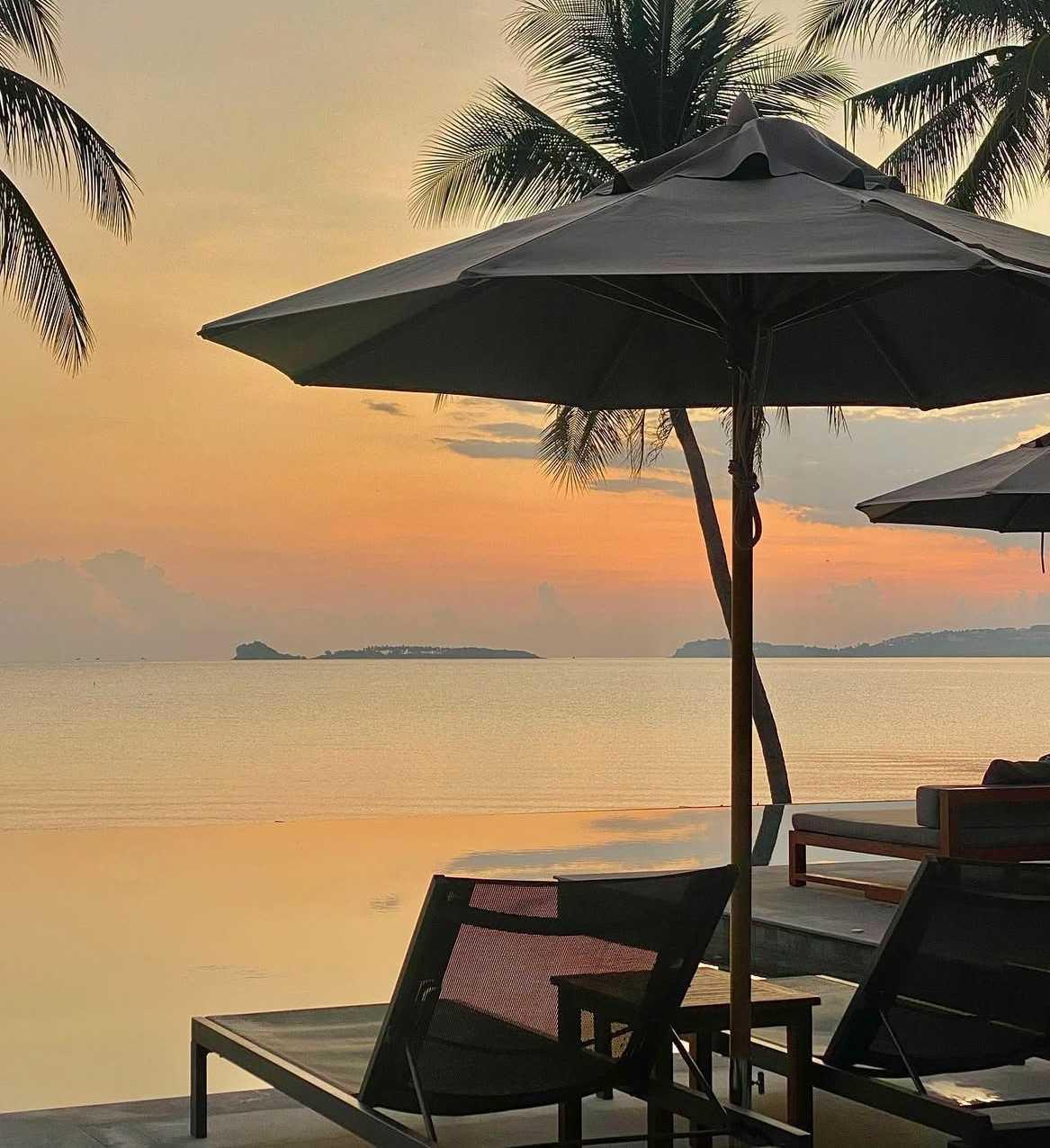 CELES SAMUI CELES SAMUI