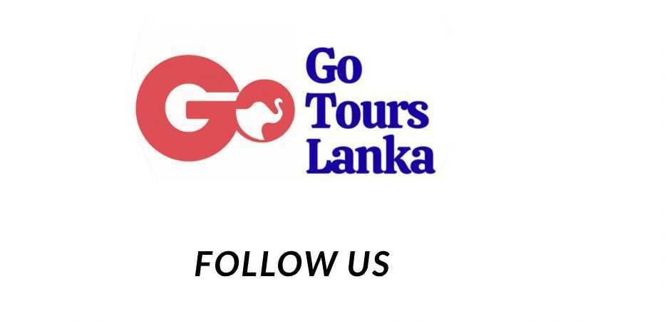 GO TOURS LANKA GO TOURS LANKA