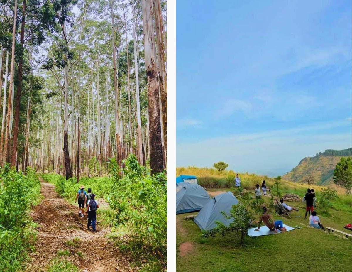 NATURE NAVIGATORS NATURE NAVIGATORS