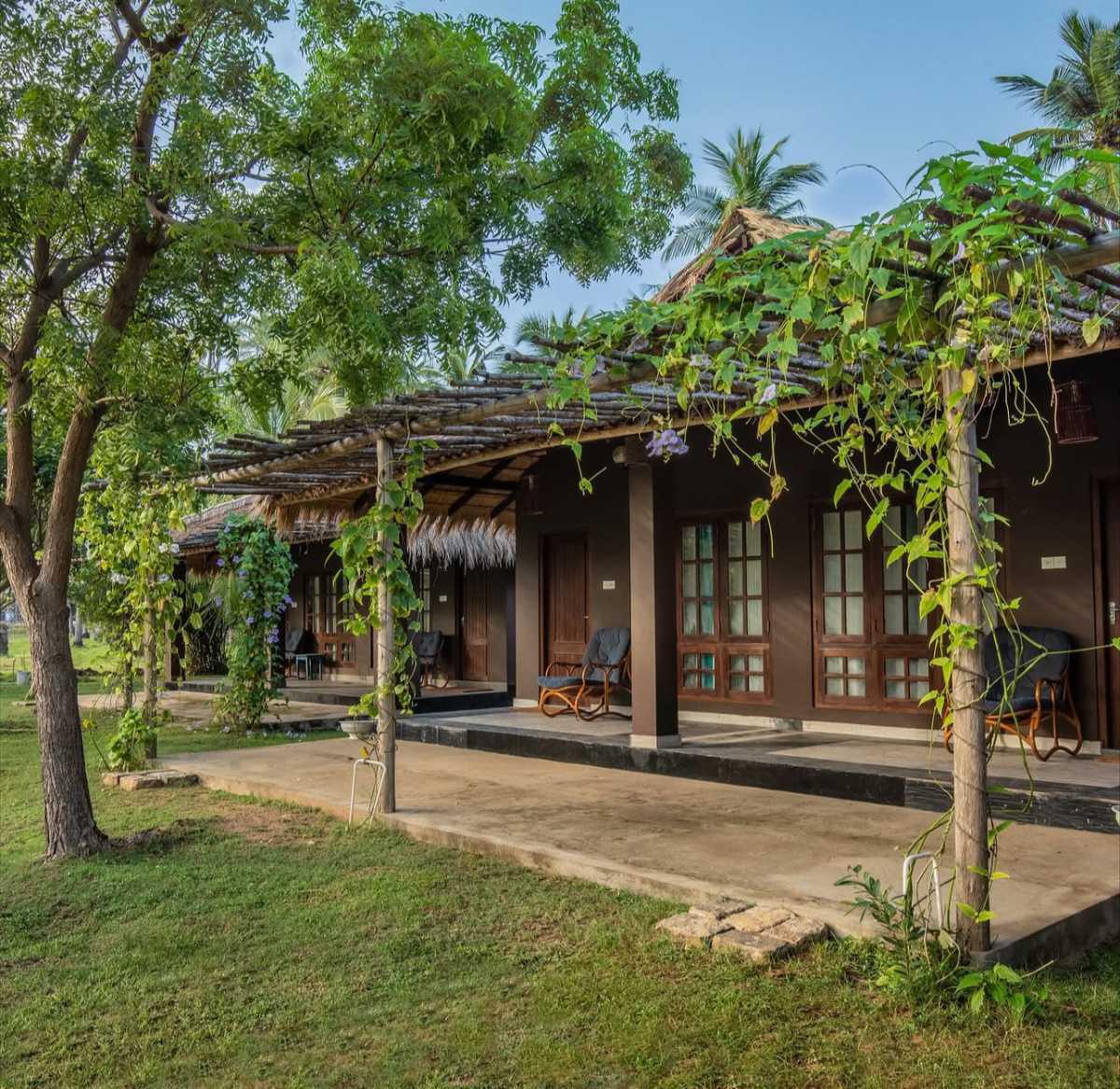 CLUB MANGO • ECO CHIC RESORT