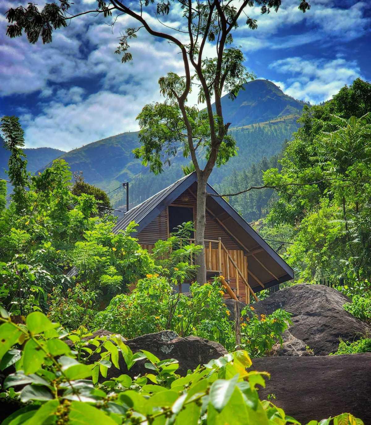 FOREST HEAVEN ECO RESORT FOREST HEAVEN ECO RESORT