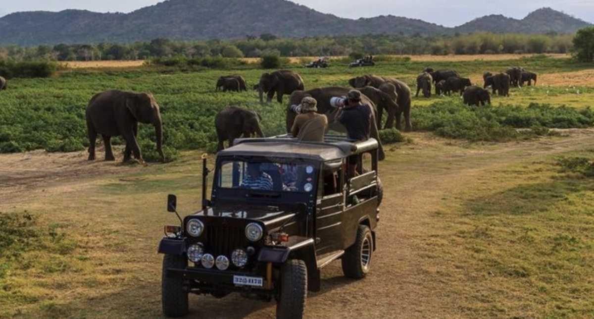 SUPER TOUR ARUGAM BAY SUPER TOUR ARUGAM BAY