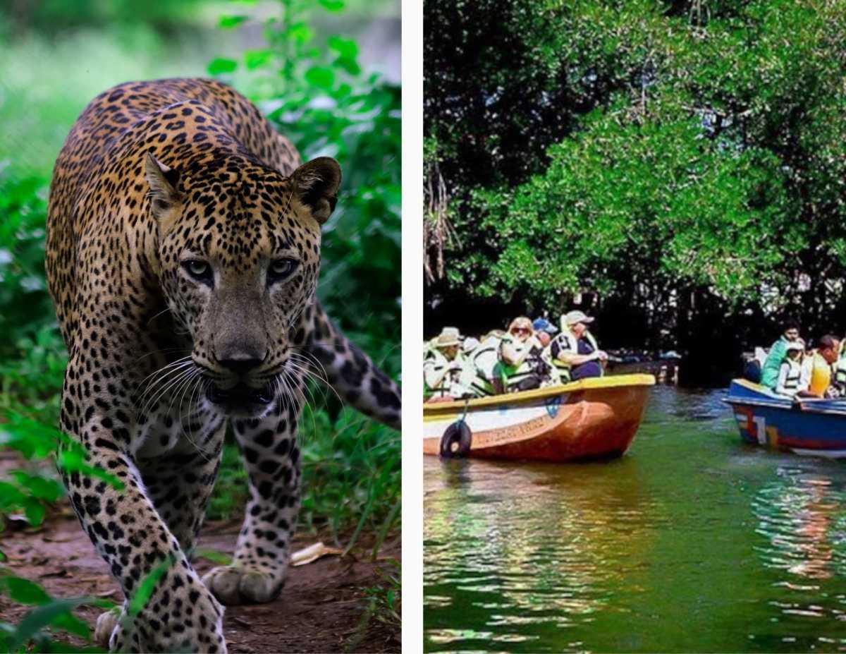 SUPER TOUR ARUGAM BAY SUPER TOUR ARUGAM BAY