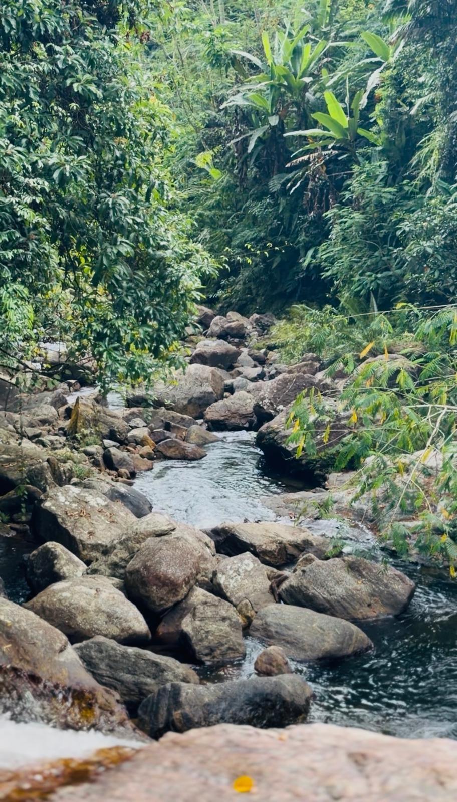 ๐ฉ๐ถ๐น๐น๐ฎ ๐ฆ๐ฝ๐ฟ๐ถ๐ป๐ด๐๐ฎ๐๐ฒ๐ฟ โ A Hidden Nature Escape Near Sinharaja Rainforest ๐ฉ๐ถ๐น๐น๐ฎ ๐ฆ๐ฝ๐ฟ๐ถ๐ป๐ด๐๐ฎ๐๐ฒ๐ฟ โ A Hidden Nature Escape Near Sinharaja Rainforest