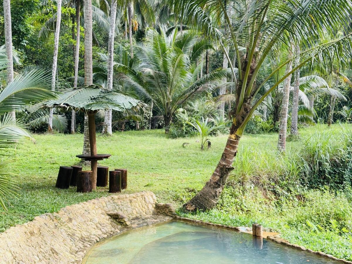 𝗩𝗶𝗹𝗹𝗮 𝗦𝗽𝗿𝗶𝗻𝗴𝘄𝗮𝘁𝗲𝗿 – A Hidden Nature Escape Near Sinharaja Rainforest