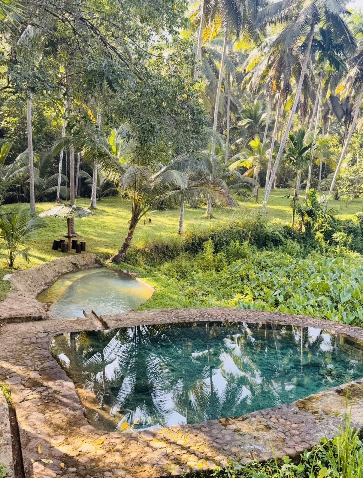 Valentine’s Day 💚 Villa Springwater Valentine’s Day 💚 Villa Springwater