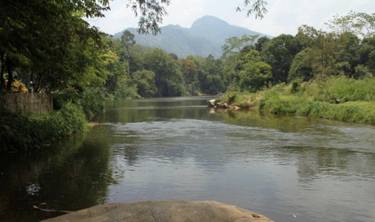 𝗥𝗜𝗩𝗘𝗥 𝗥𝗘𝗦𝗢𝗥𝗧 🌿 by Ceylon Adventure Sports 📍Sri Lanka