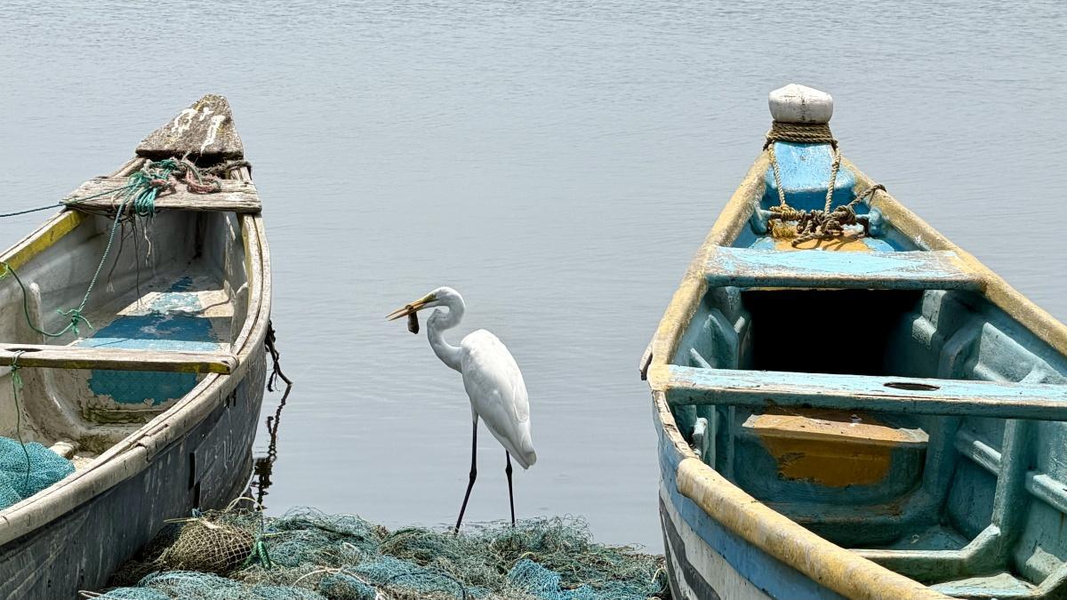 JOURNE • EXPERIENCE NORTHERN SRI LANKA JOURNE • EXPERIENCE NORTHERN SRI LANKA