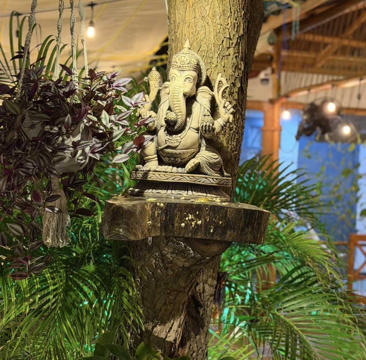 ๐ก๐ฒ๐ฒ๐บ ๐ง๐ฟ๐ฒ๐ฒ ๐๐ผ๐๐๐ฒ ๐๐ง๐ฟ๐ถ๐ป๐ฐ๐ผ๐บ๐ฎ๐น๐ฒ๐ฒ, ๐ฆ๐ฟ๐ถ ๐๐ฎ๐ป๐ธ๐ฎ ๐ฑ๐ฐ ๐ก๐ฒ๐ฒ๐บ ๐ง๐ฟ๐ฒ๐ฒ ๐๐ผ๐๐๐ฒ ๐๐ง๐ฟ๐ถ๐ป๐ฐ๐ผ๐บ๐ฎ๐น๐ฒ๐ฒ, ๐ฆ๐ฟ๐ถ ๐๐ฎ๐ป๐ธ๐ฎ ๐ฑ๐ฐ