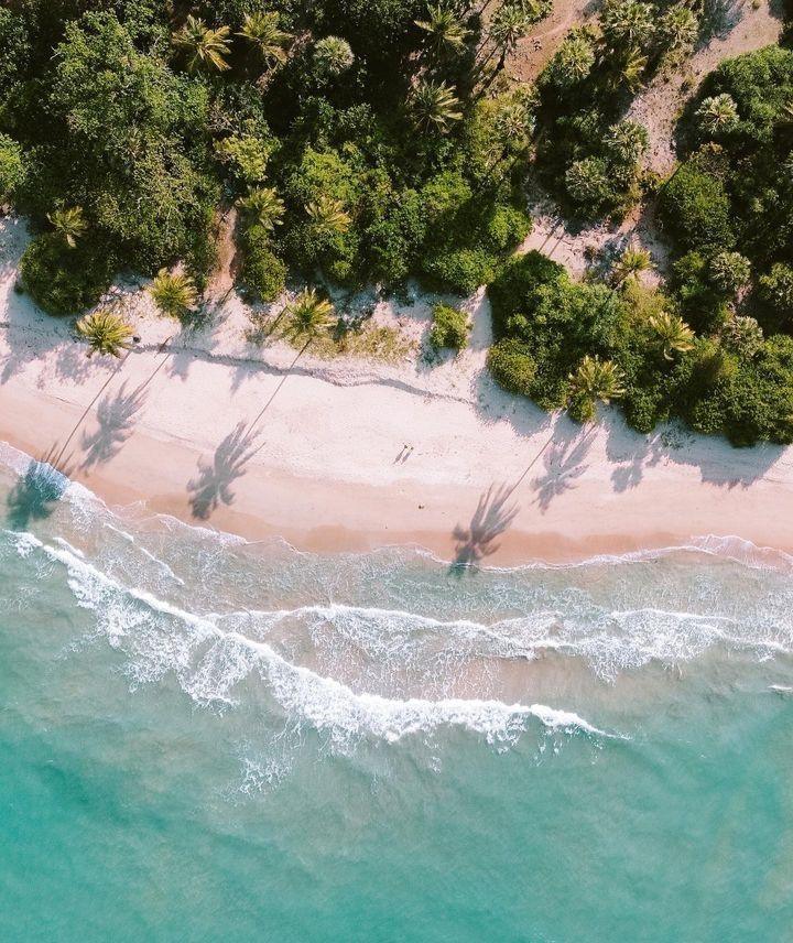 𝗡𝗲𝗲𝗺 𝗧𝗿𝗲𝗲 𝗛𝗼𝘂𝘀𝗲 📍𝗧𝗿𝗶𝗻𝗰𝗼𝗺𝗮𝗹𝗲𝗲, 𝗦𝗿𝗶 𝗟𝗮𝗻𝗸𝗮 🇱🇰