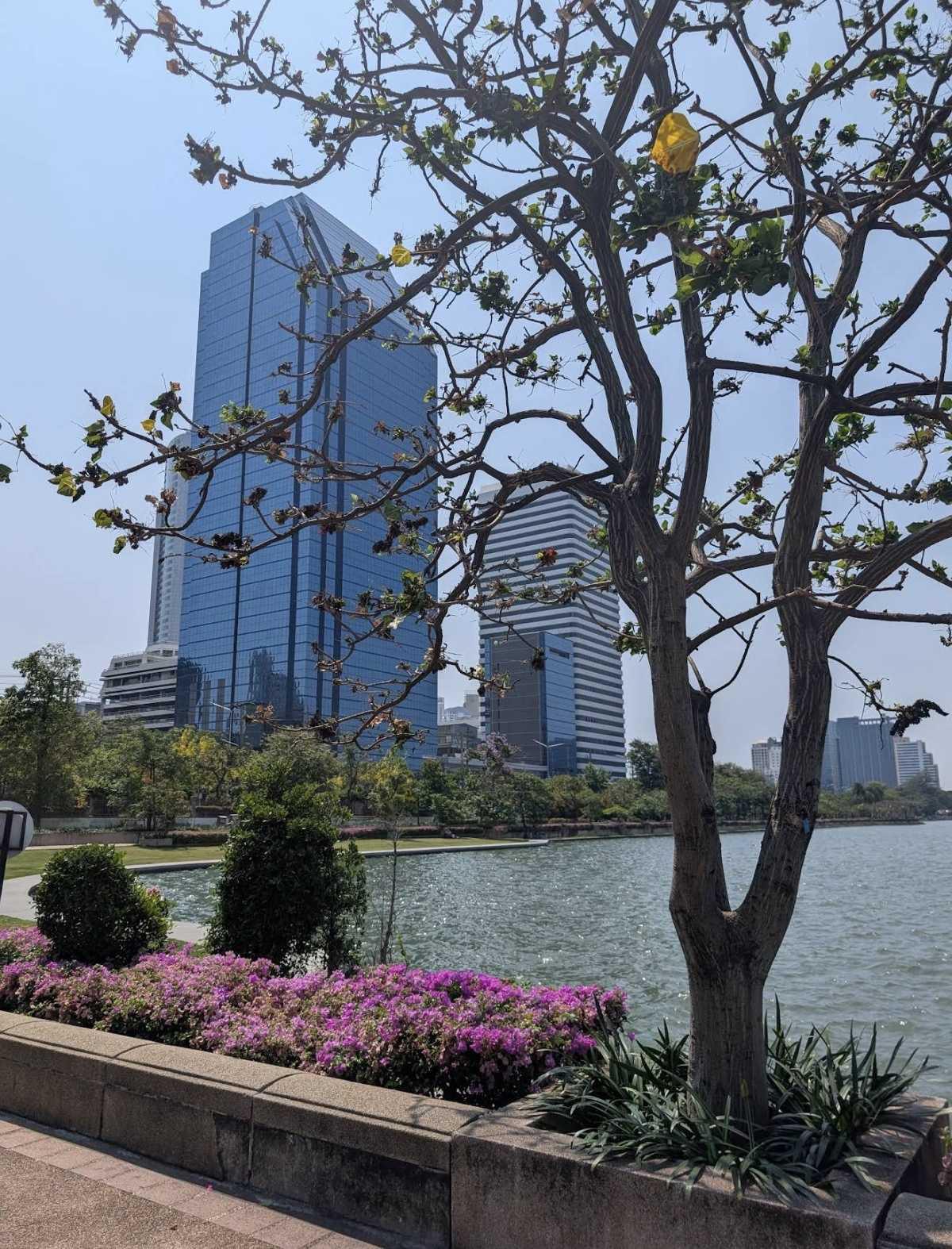 BENJAKITTI PARK BENJAKITTI PARK