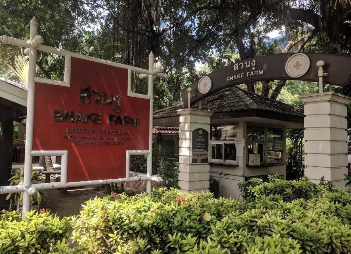 SNAKE FARM SNAKE FARM