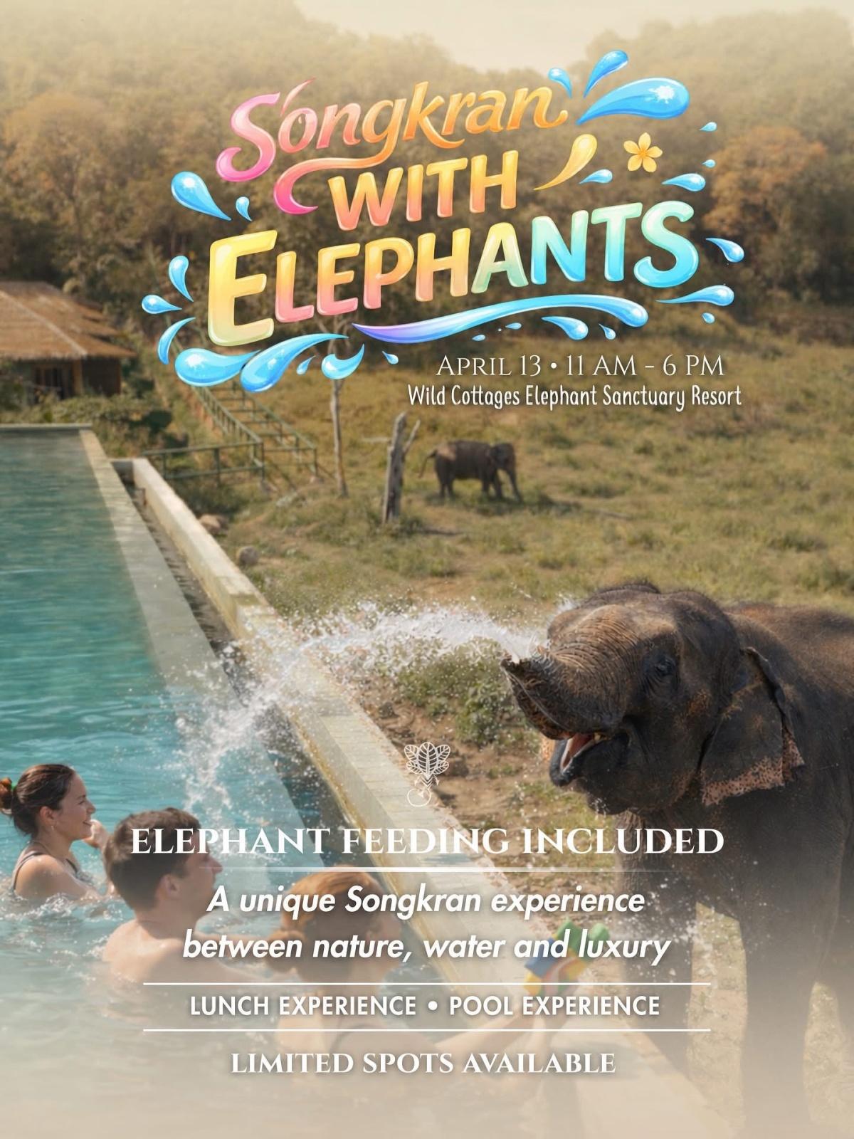 SONGKRAN WITH ELEPHANTS 🐘 SONGKRAN WITH ELEPHANTS 🐘