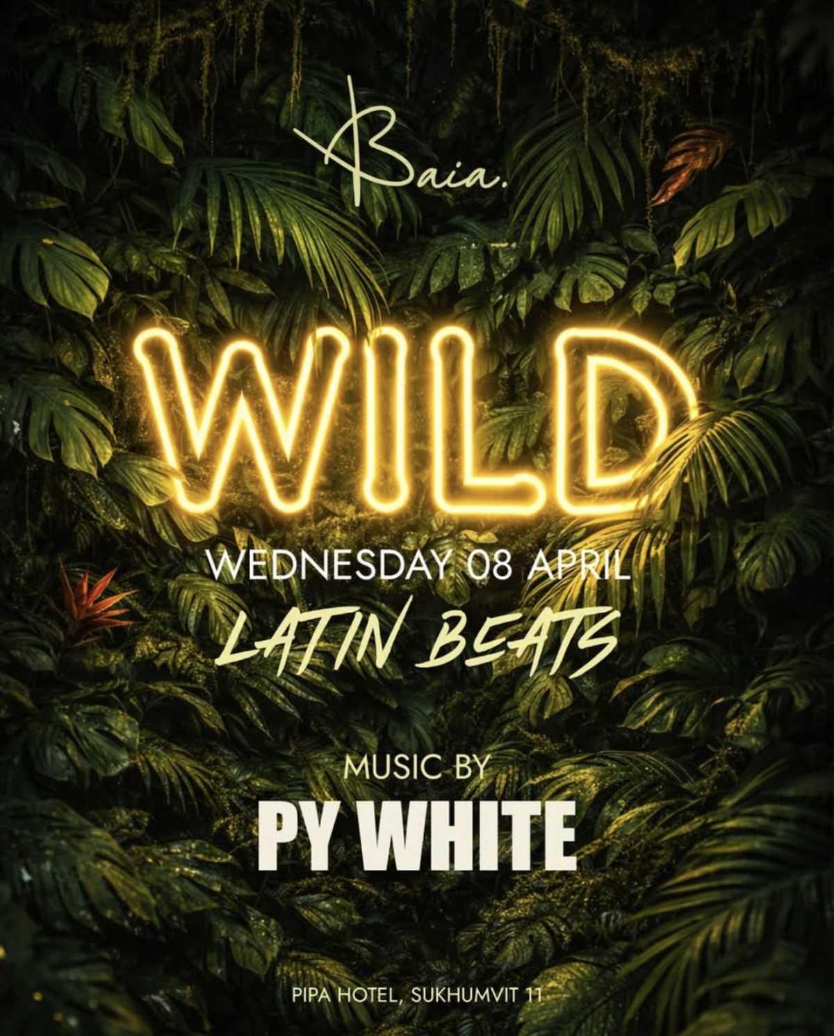 WILD β Latin Beats Night x Baia Bangkok WILD β Latin Beats Night x Baia Bangkok