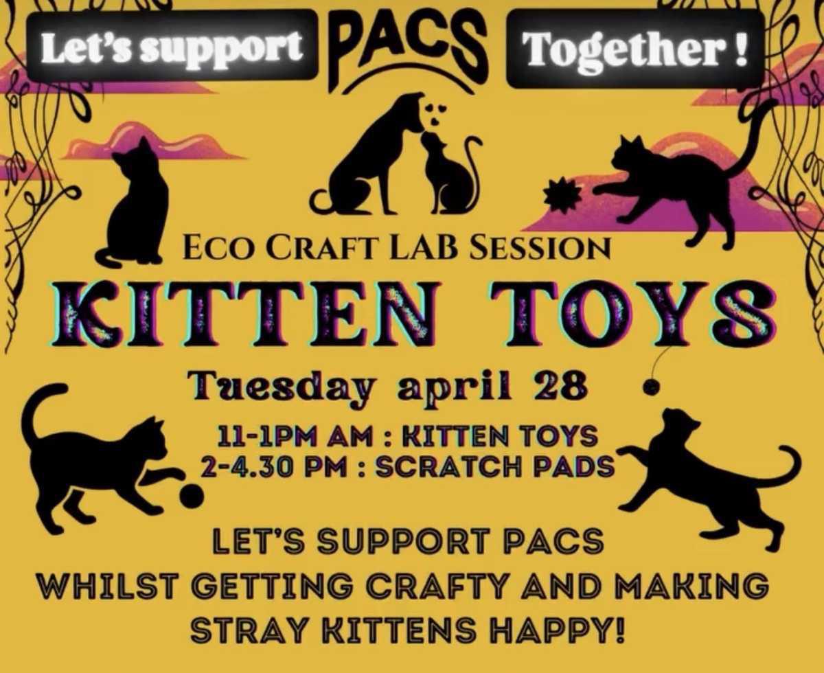 Kitten Toys Eco Craft Lab Session 🐱🎨