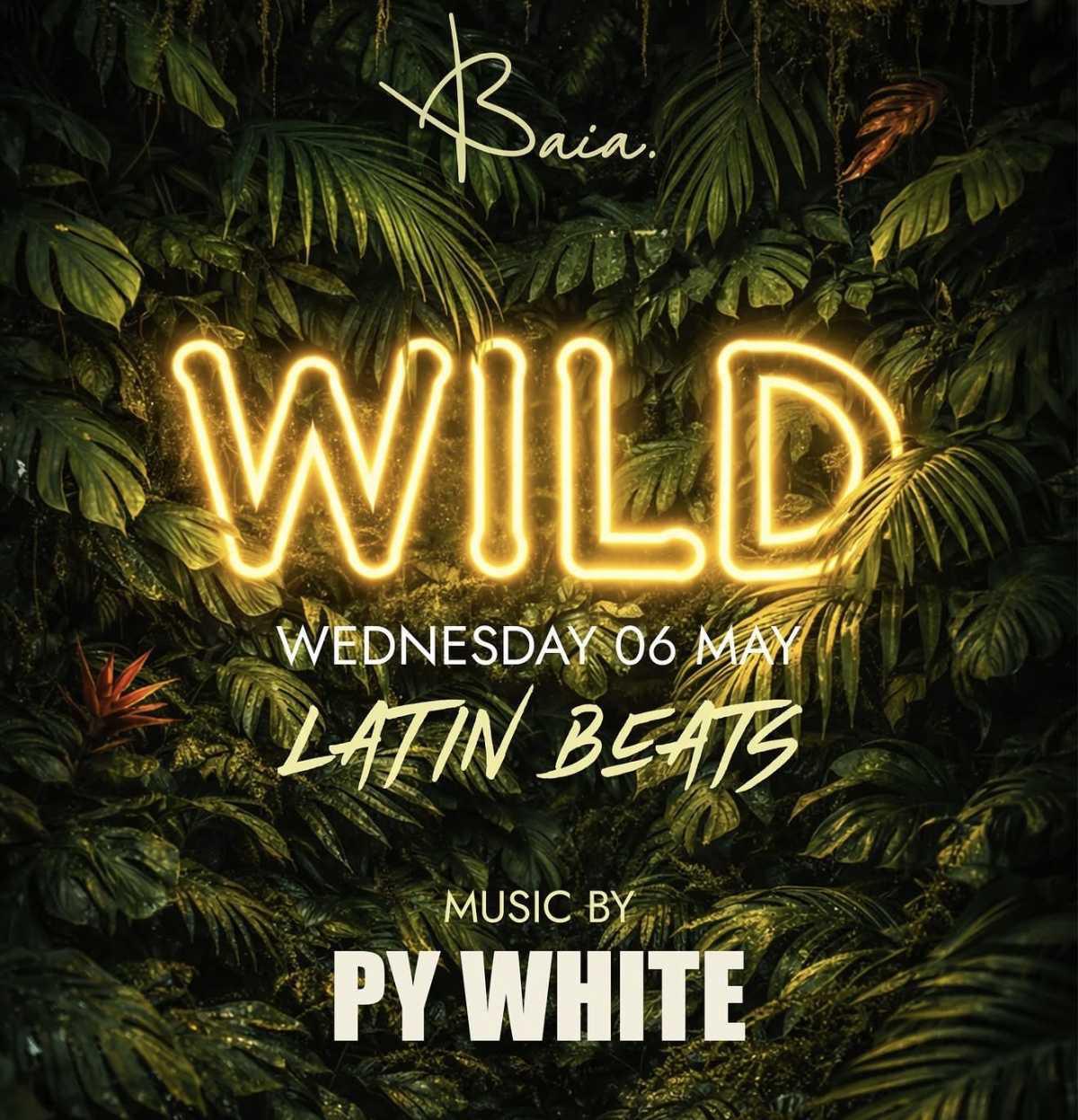 🌿 WILD – LATIN BEATS @ BAIA 🎶