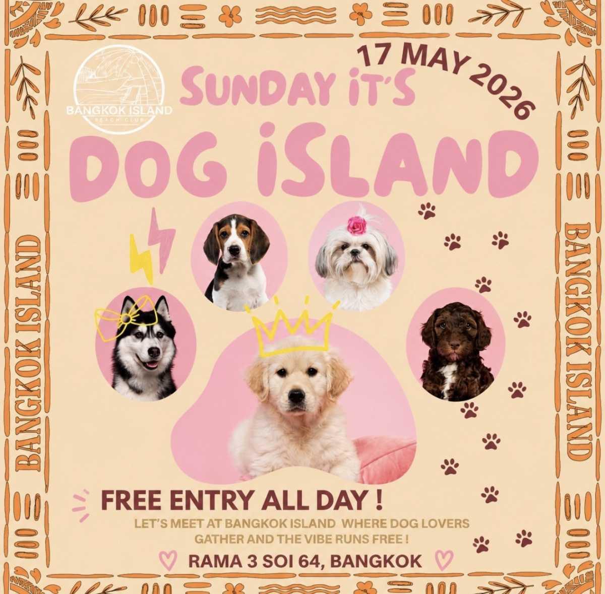 🐶 DOG ISLAND & SWAP MEET at BANGKOK ISLAND 🌴💖