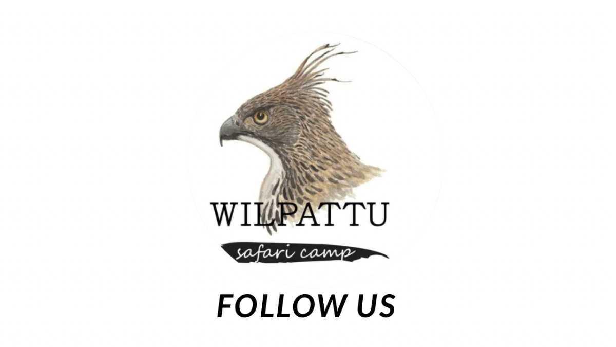 WILPATTU SAFARI CAMP WILPATTU SAFARI CAMP