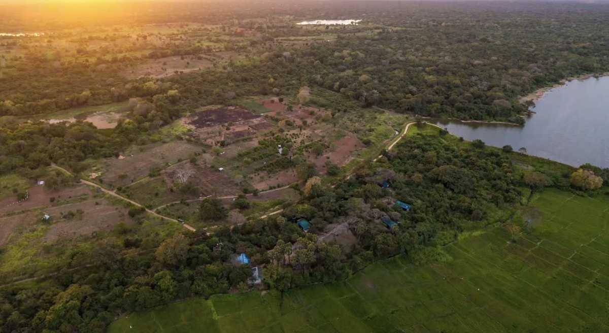 WILPATTU SAFARI CAMP