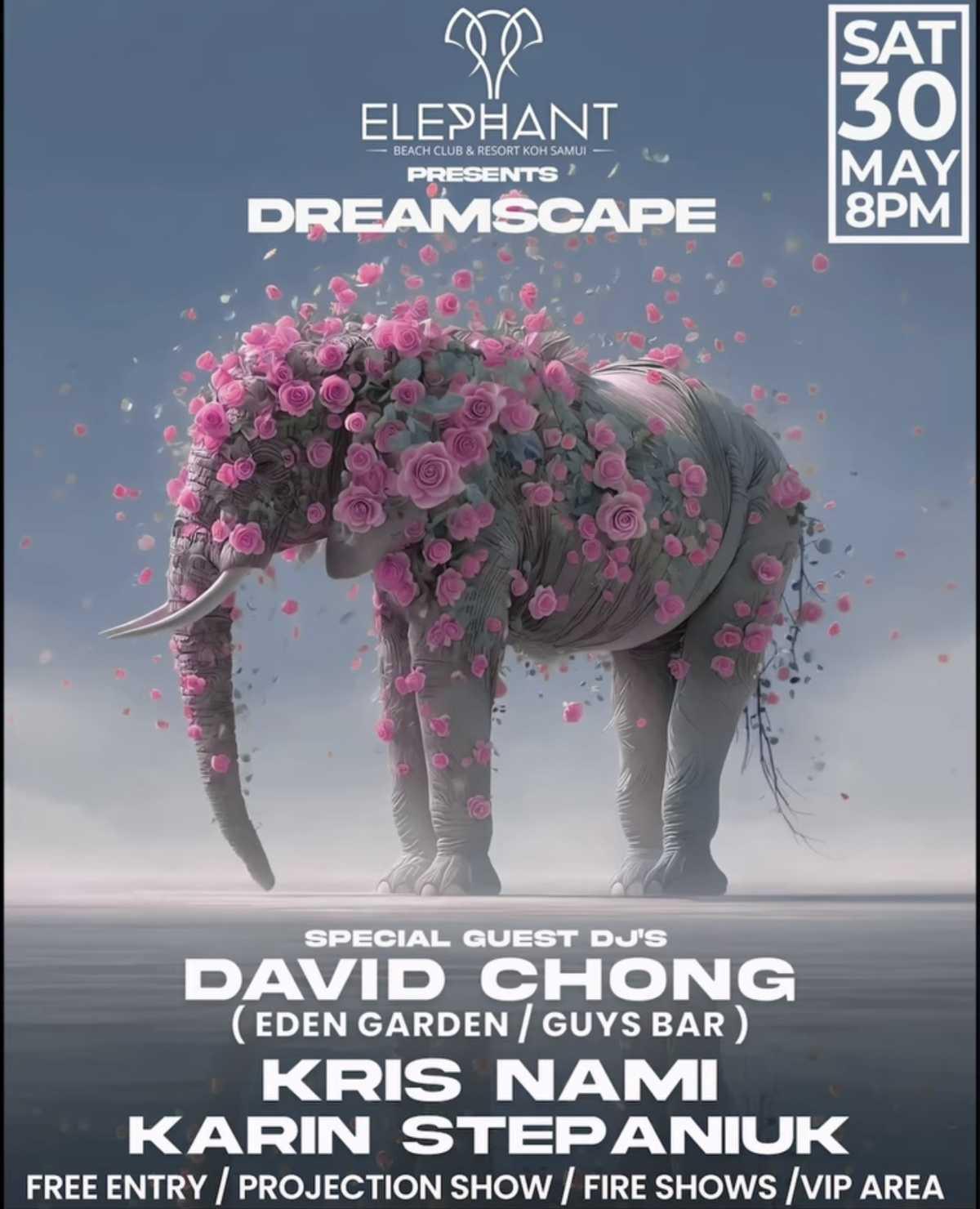 DREAMSCAPE 🌙 Elephant Beach Club