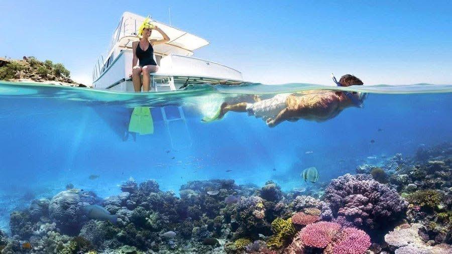 SON TRA PENINSULA • SNORKELING CRUISE SON TRA PENINSULA • SNORKELING CRUISE