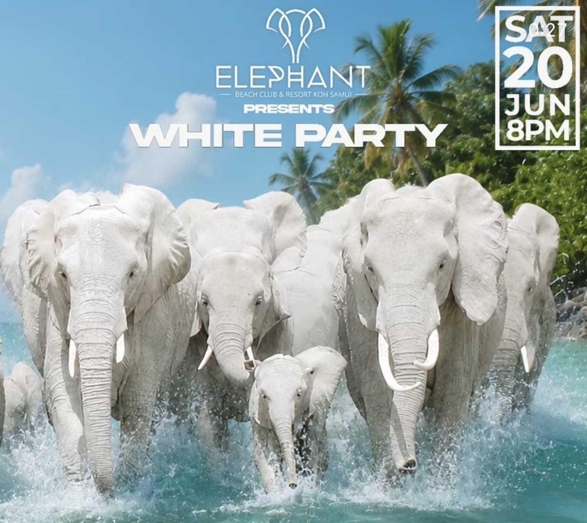 Elephant White Party 2026 Elephant White Party 2026