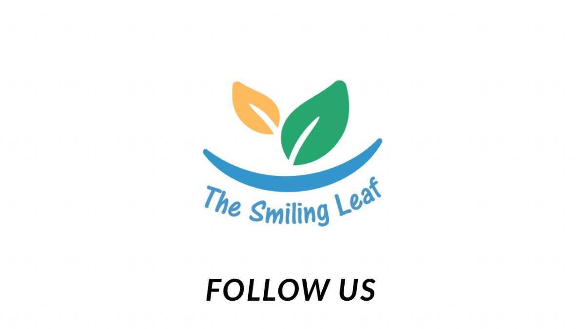 THE SMILING LEAF THE SMILING LEAF