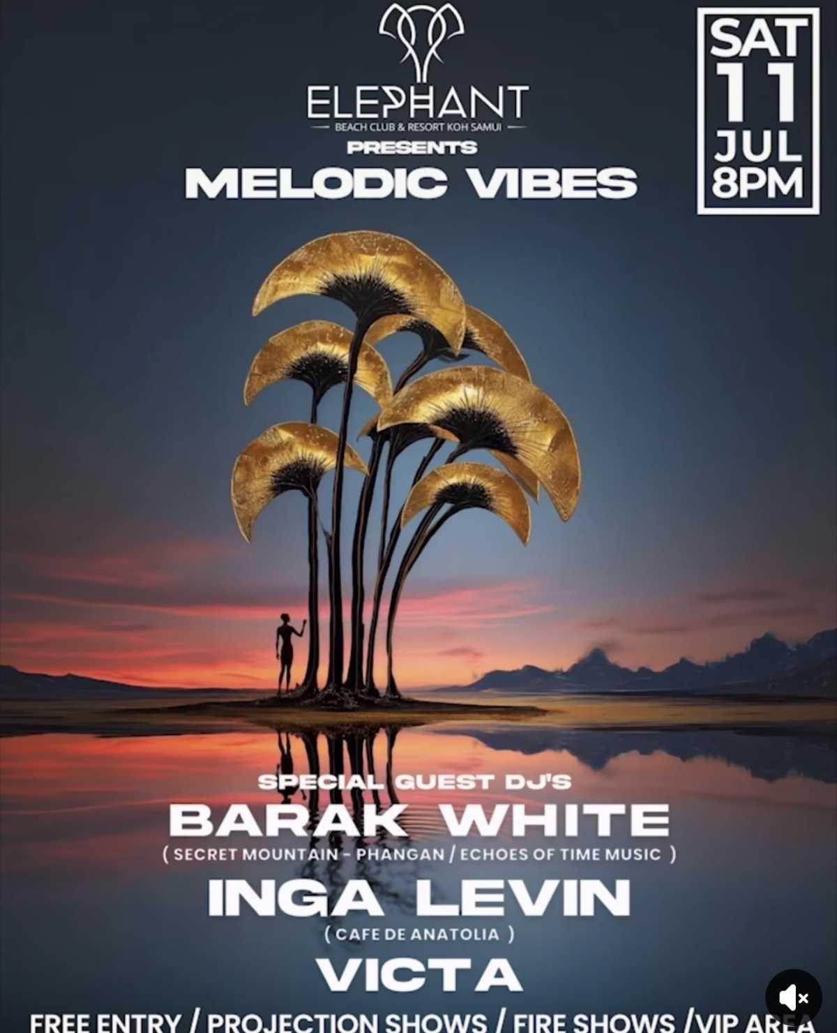 Melodic Vibes at Elephant Beach Club Melodic Vibes at Elephant Beach Club