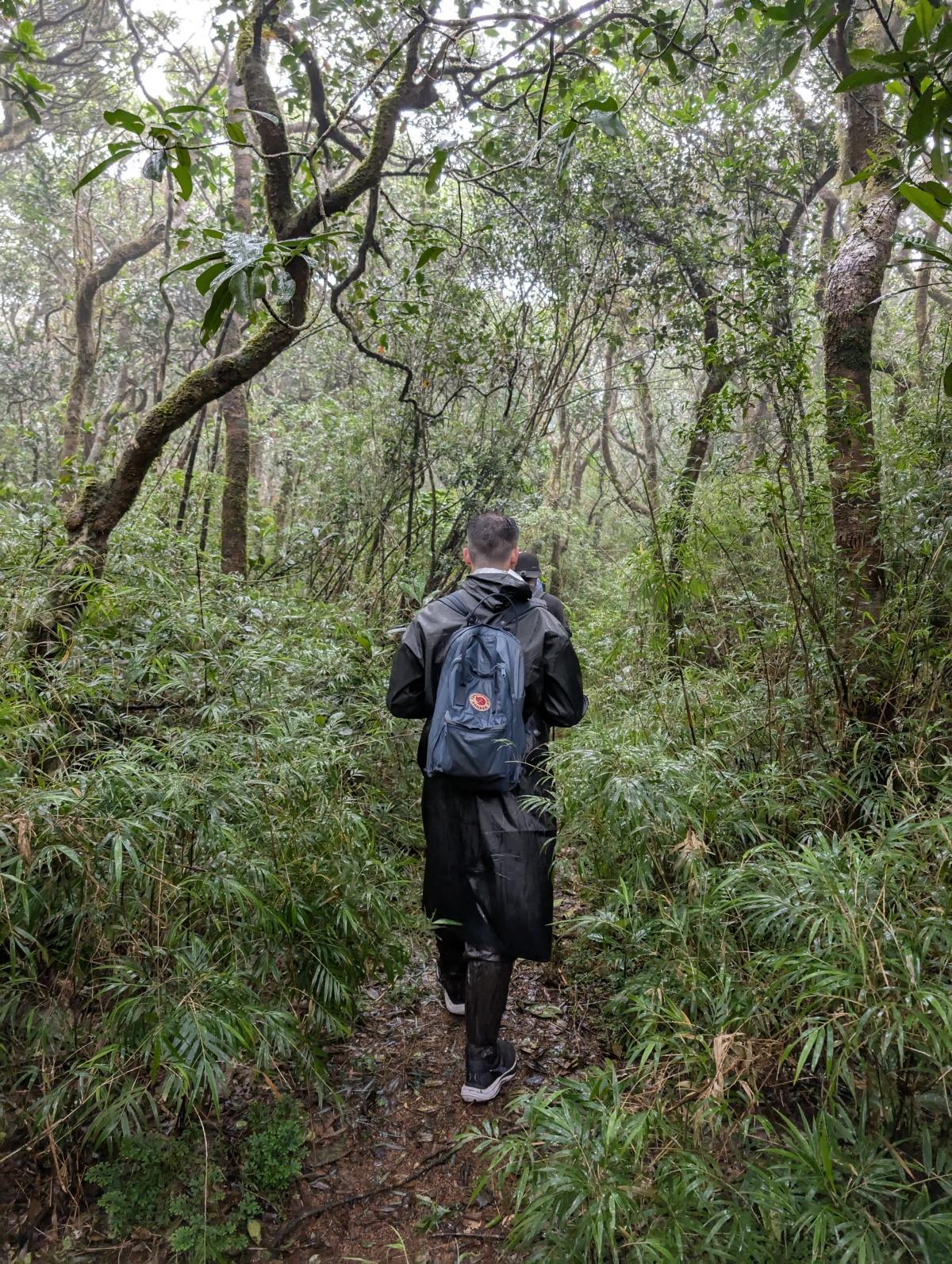 Beyond the Trail: How Border Adventures Is Redefining Authentic Adventure Tourism in Sri Lanka Beyond the Trail: How Border Adventures Is Redefining Authentic Adventure Tourism in Sri Lanka