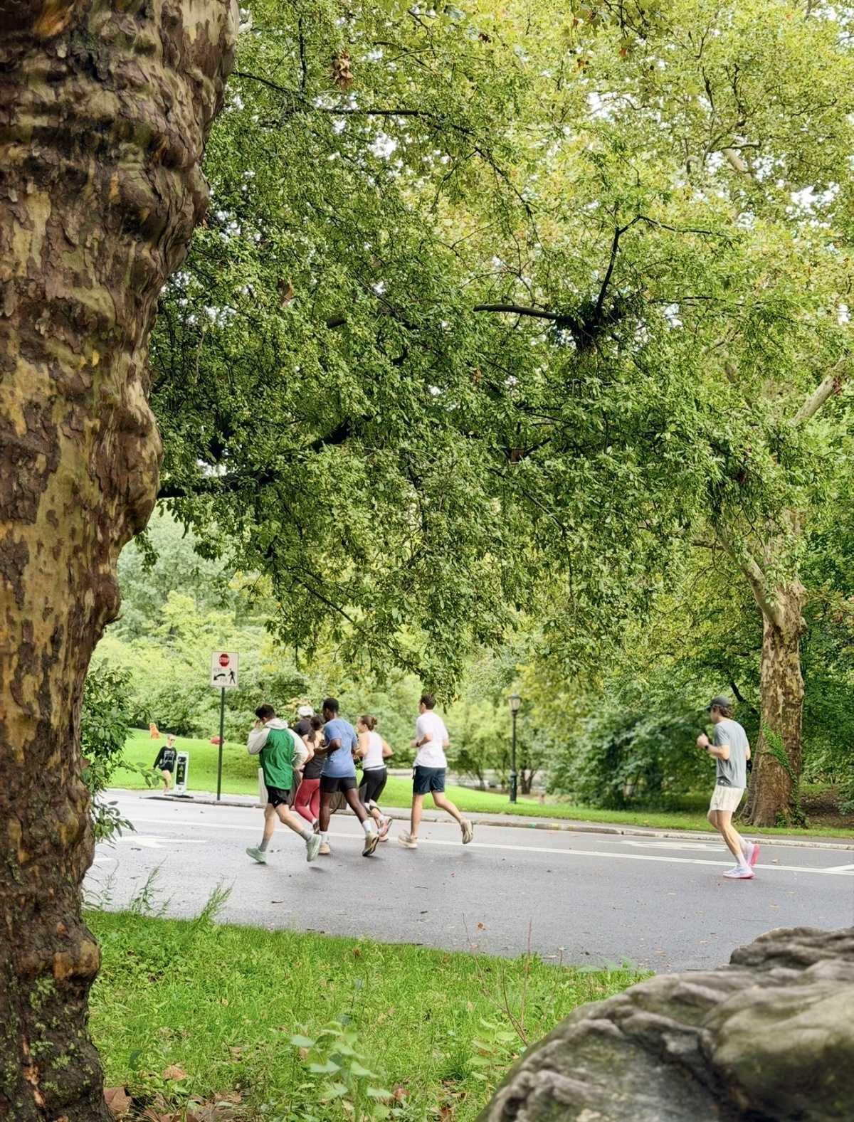 CENTRAL PARK π³ CENTRAL PARK π³