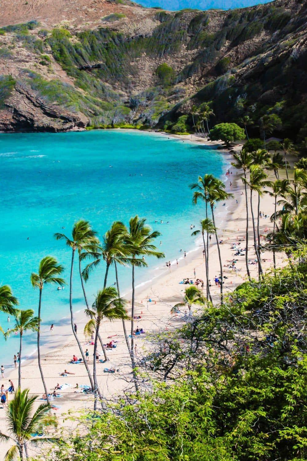 HANAUMA BAY NATURE PRESERVE 🐠 HANAUMA BAY NATURE PRESERVE 🐠