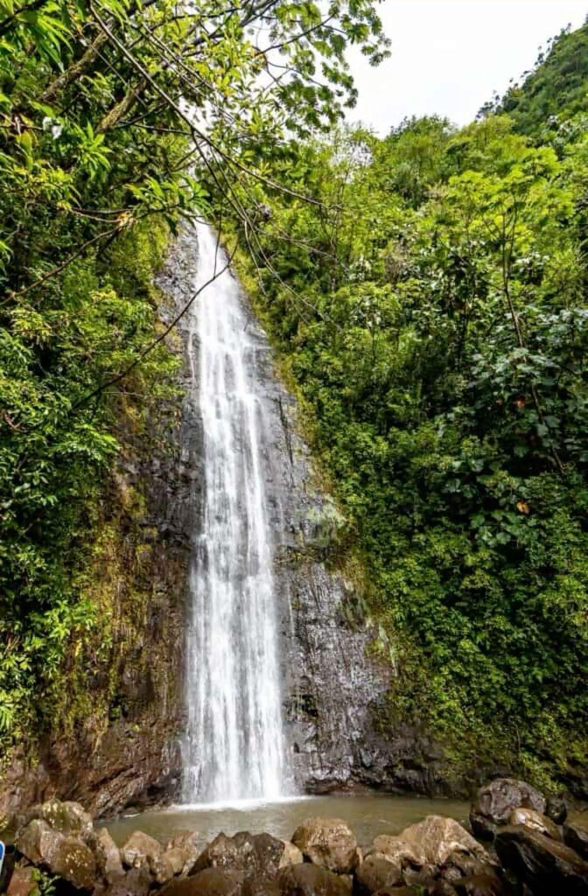MĀNOA FALLS 🌿 MĀNOA FALLS 🌿