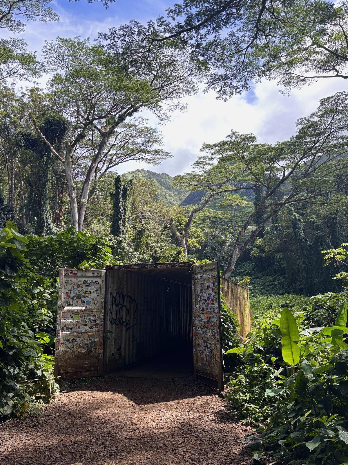 MĀNOA FALLS 🌿 MĀNOA FALLS 🌿