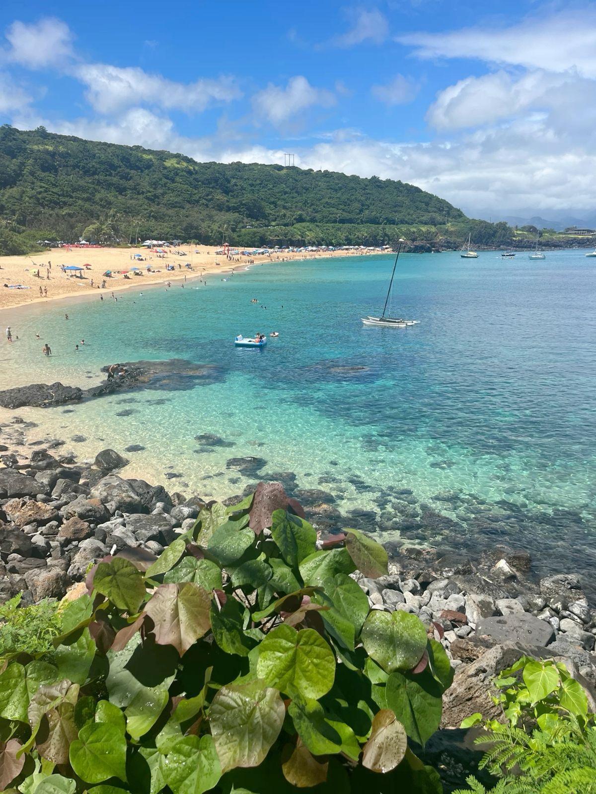 NORTH SHORE – WAIMEA BAY NORTH SHORE – WAIMEA BAY