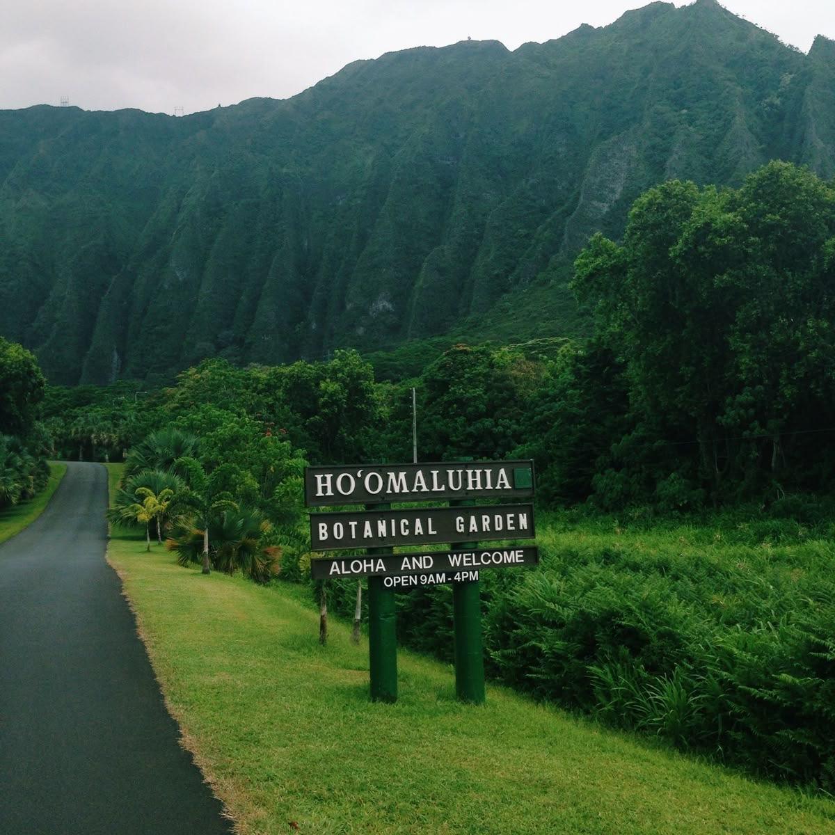 HOʻOMALUHIA BOTANICAL GARDEN 🌴 HOʻOMALUHIA BOTANICAL GARDEN 🌴